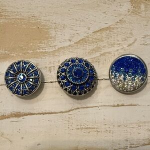 Elegant Blue and Silver Ginger Snaps